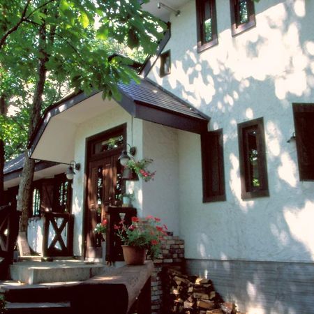 Hotel Earl Grey Hakuba Exteriér fotografie