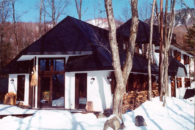 Hotel Earl Grey Hakuba Exteriér fotografie