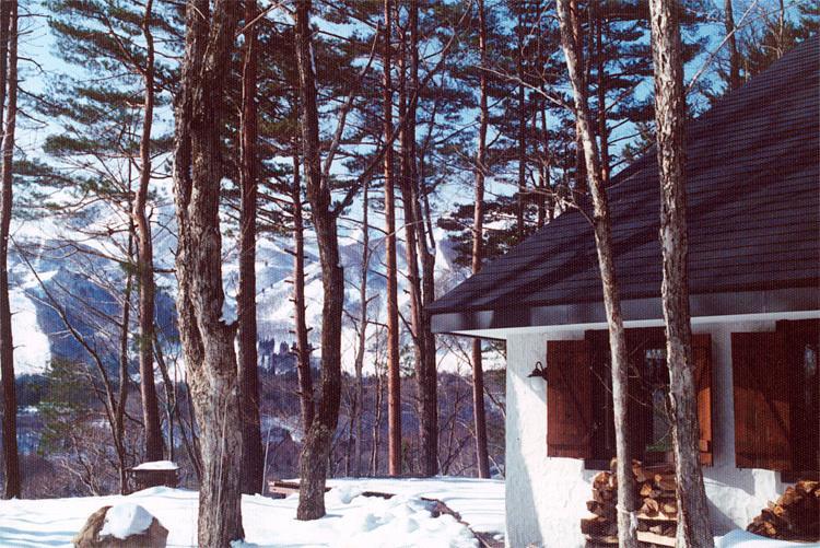 Hotel Earl Grey Hakuba Exteriér fotografie